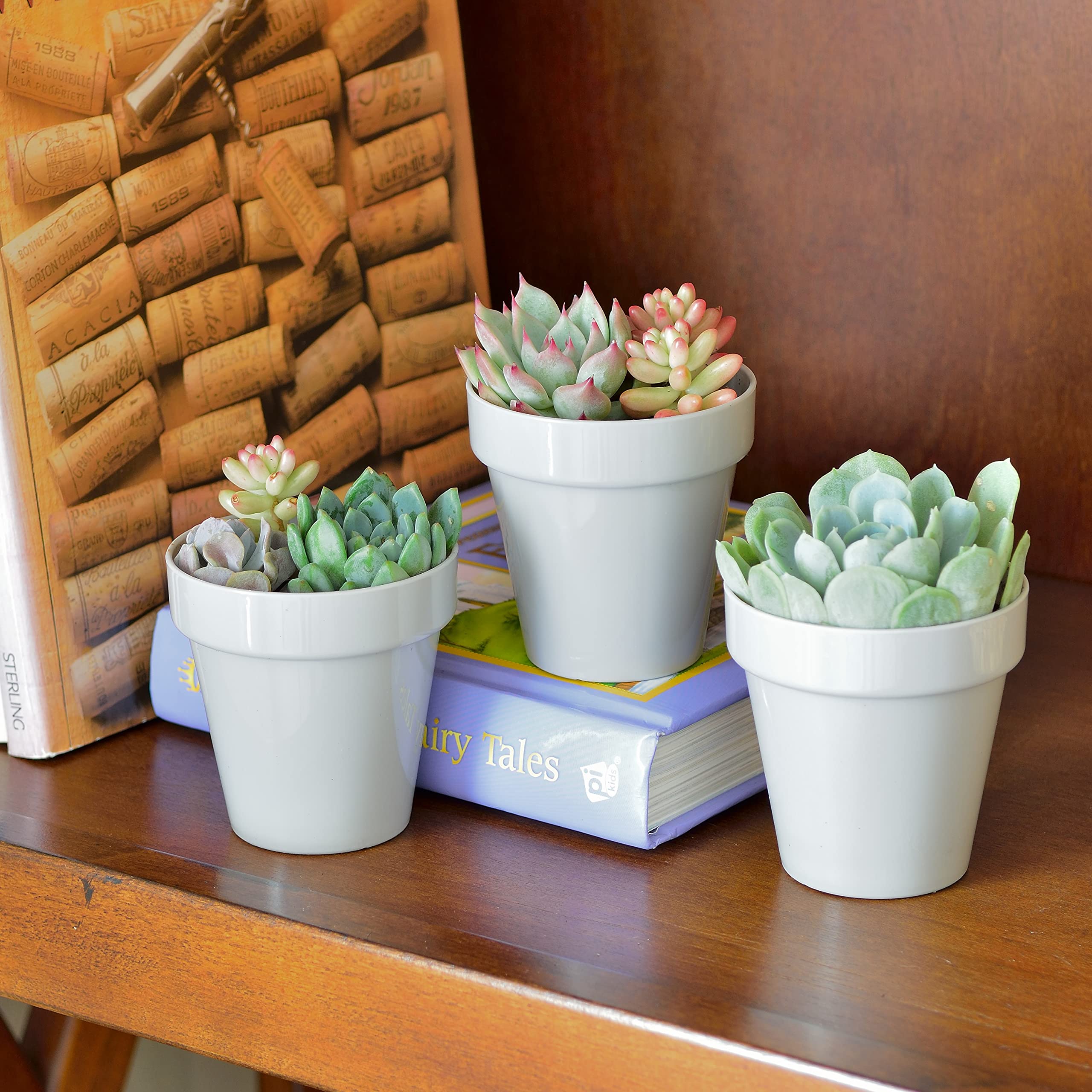 Youngever 10 Mini Fioriere In Plastica Bianca 8x8 Cm - Vasi Con Drenaggio Per Piante Grasse, Cactus, Erbe Aromatiche, Interni