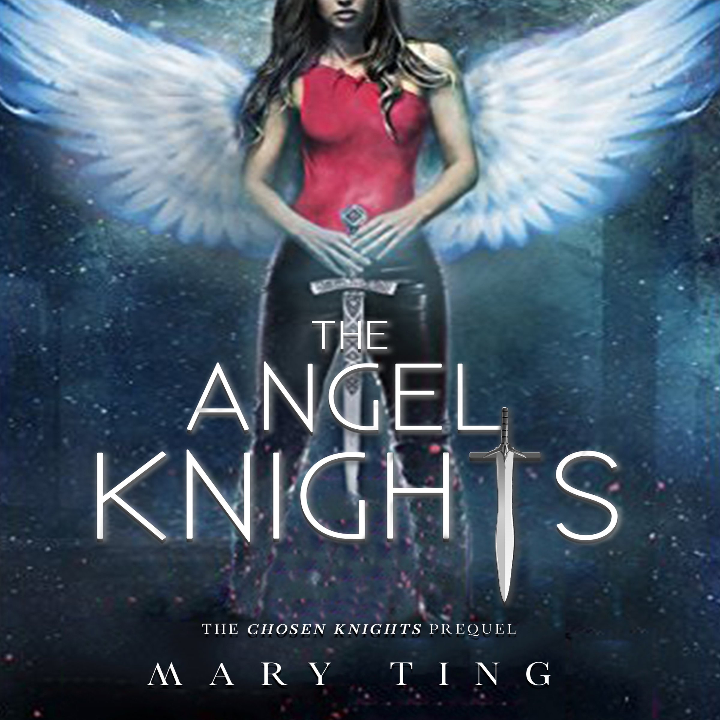 Cover art for The Angel Knights - Prequel
