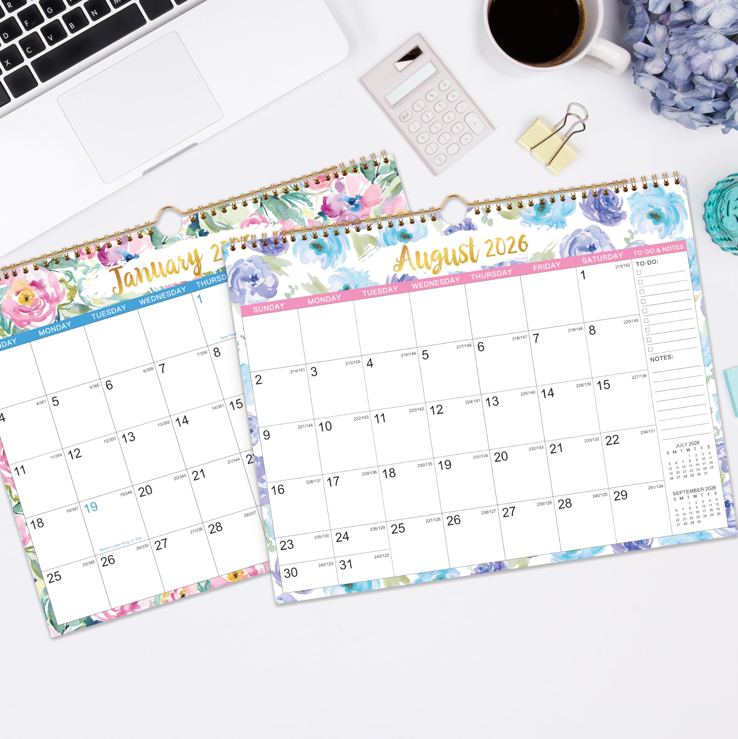 Amazon.com: 2026 Wall Calendar - January 2026 - December 2026