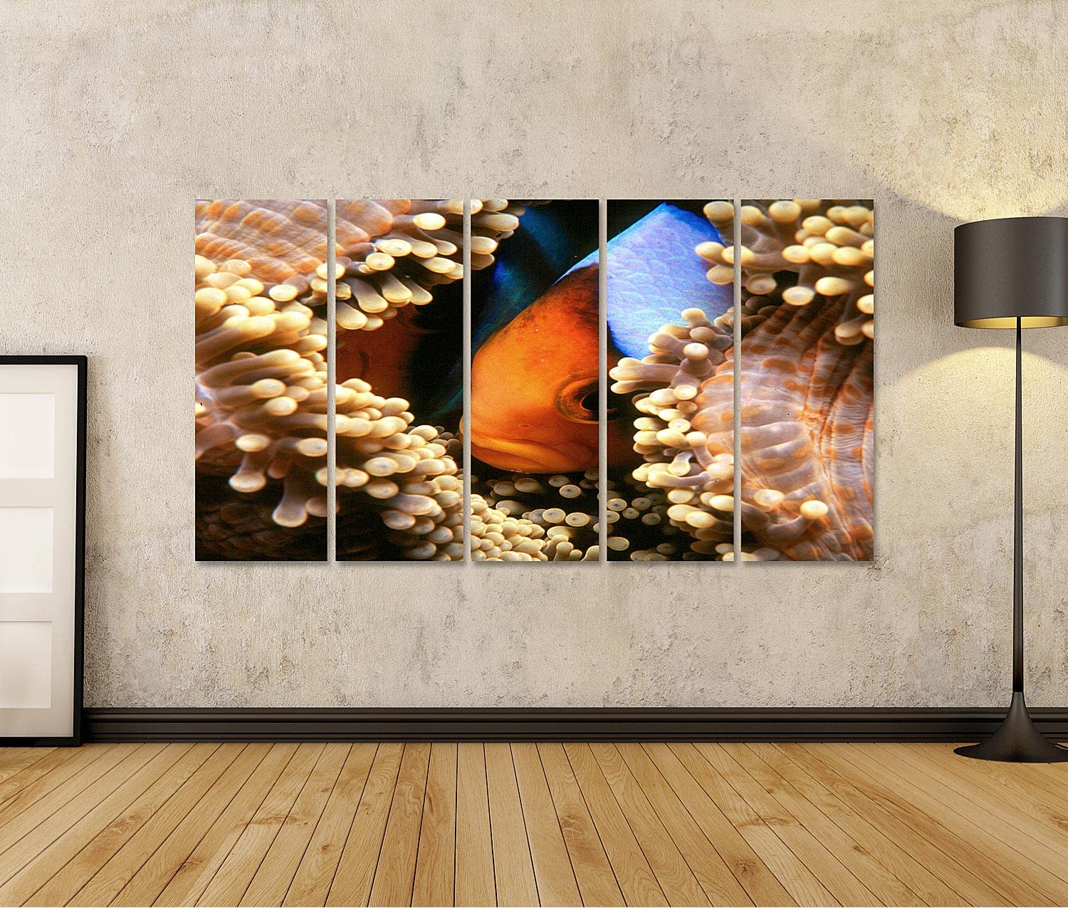 islandburner Bild auf Leinwand Nemo Clownfisch Anemonenfisch Aquaristik Bilder Wandbilder Poster BJVP-5P