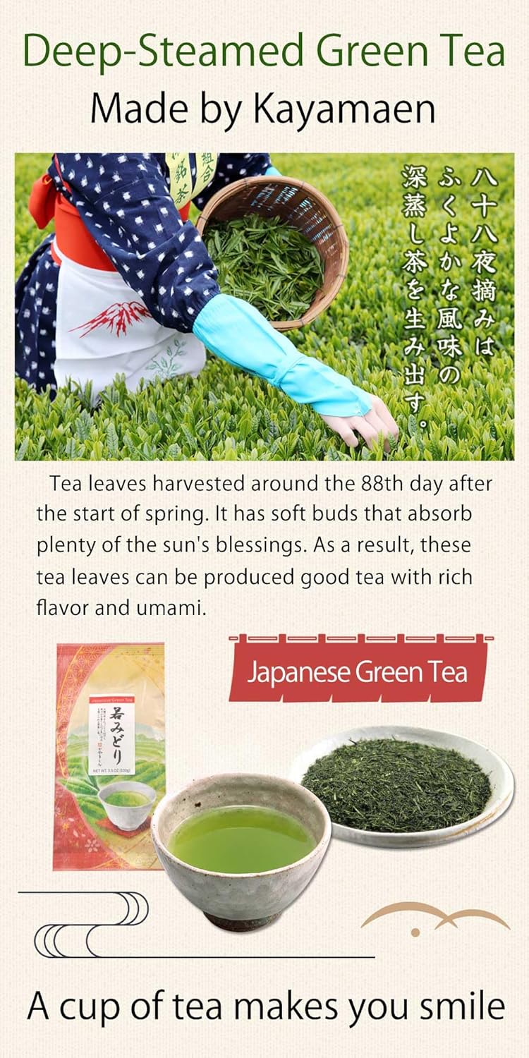 Kayamaen Loose Leaf Japanese Green Tea Wakamidori 3.5oz (100g) Traditional Japanese Green Tea - Image 3
