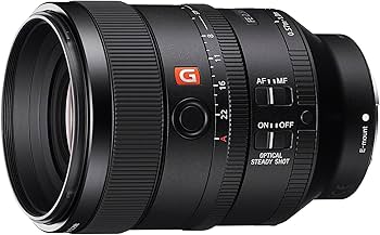 Amazon.com : Sony SEL100F28GM 100mm f2.8 Medium-telephoto Fixed