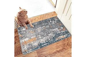 famibay 2'x3' Small Area Rug Non Skid Washable Rugs