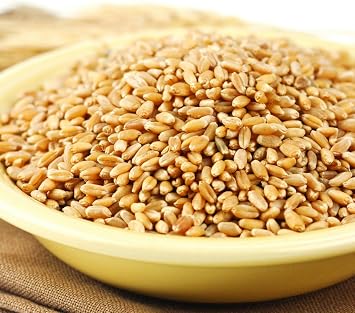 Wheat Montana Prairie Gold Hard White Spring Wheat Berries, 25 Lb. Bag