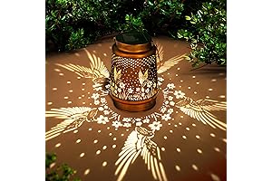 Hummingbird Solar Lantern Lights - A Kaleidoscope of Colors in Your Backyard
