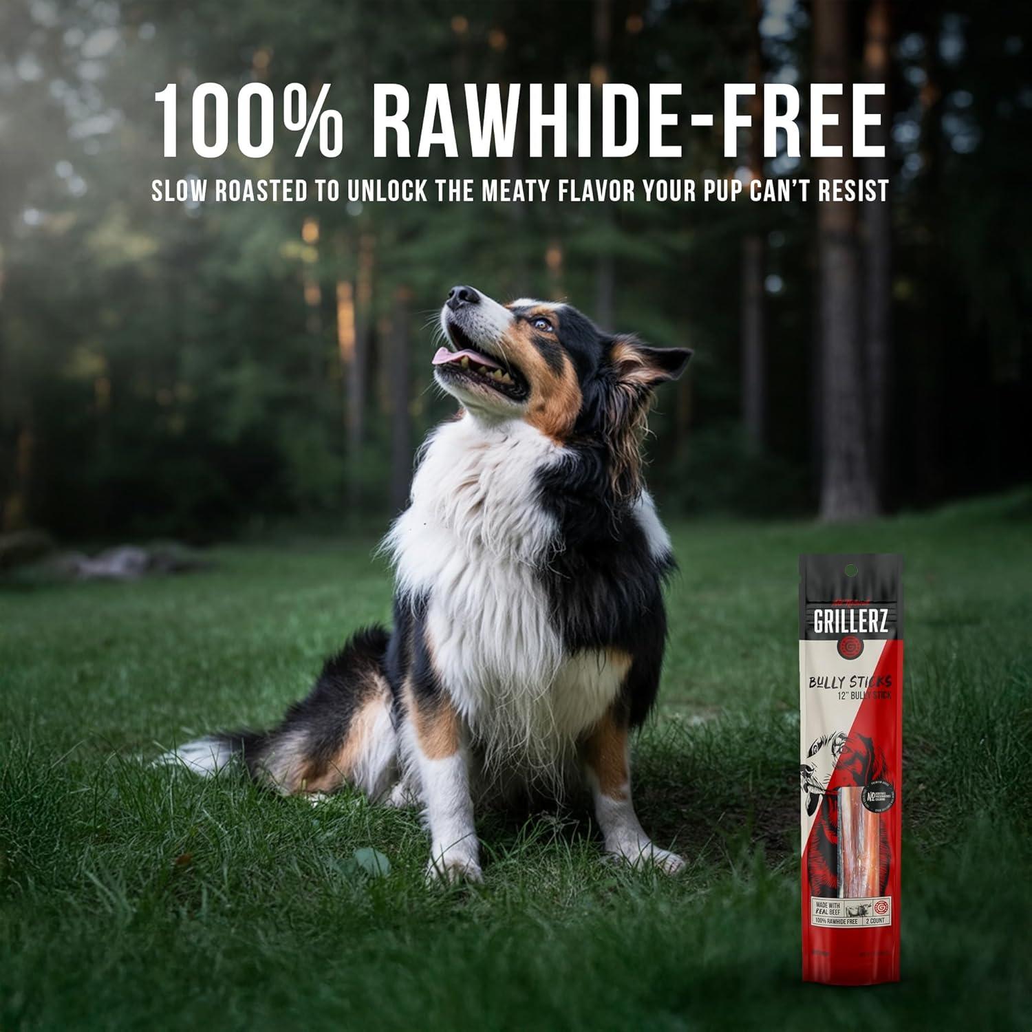 Grillerz Thick Bully Sticks, 2 Count, 12 inch, All Natural Dog Treat for All Breeds, Dog Chew for Healthy Teeth (Pack of 2)