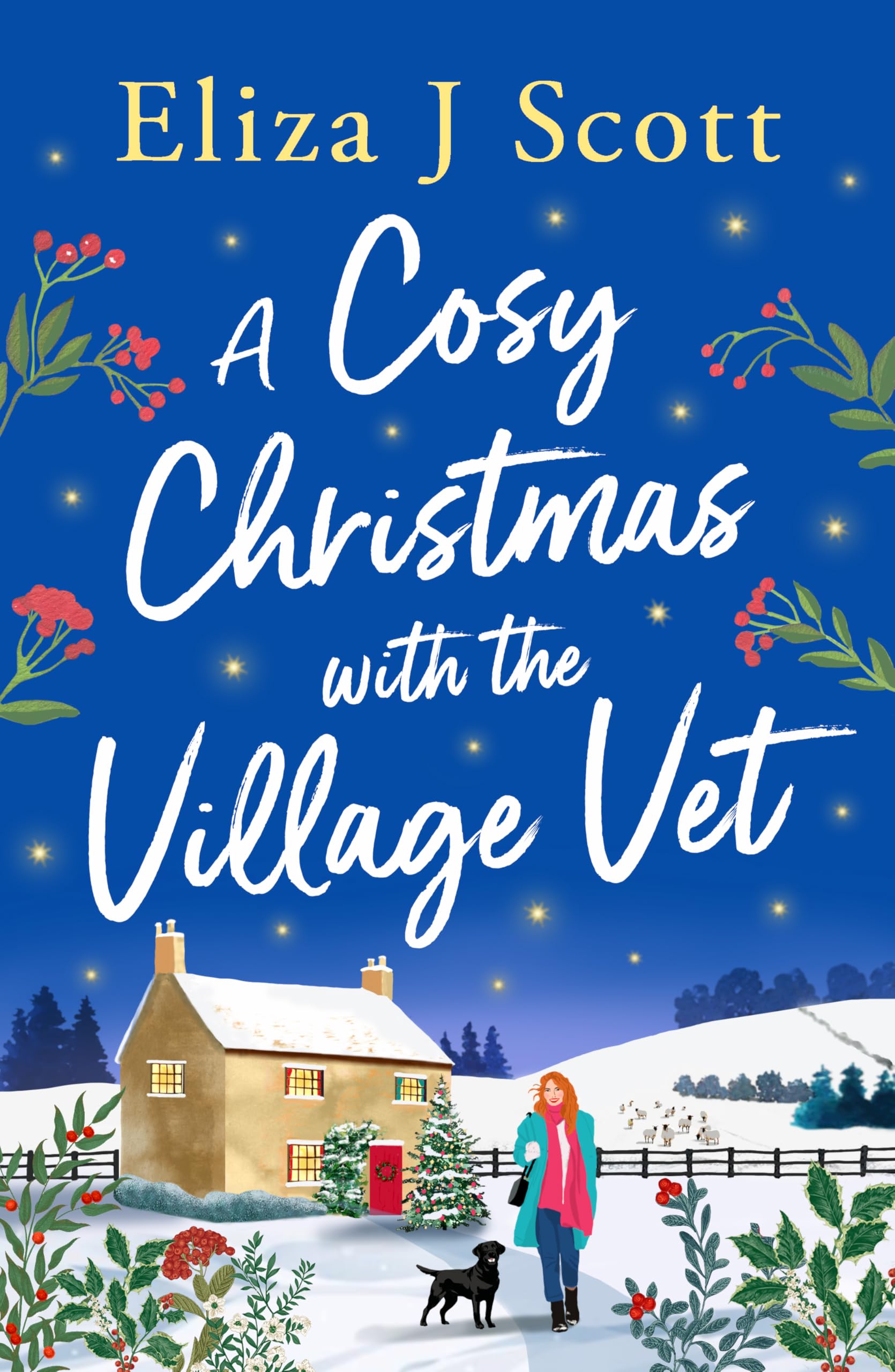 A Cosy Christmas with the Village Vet: 8 (Life on the Moors)