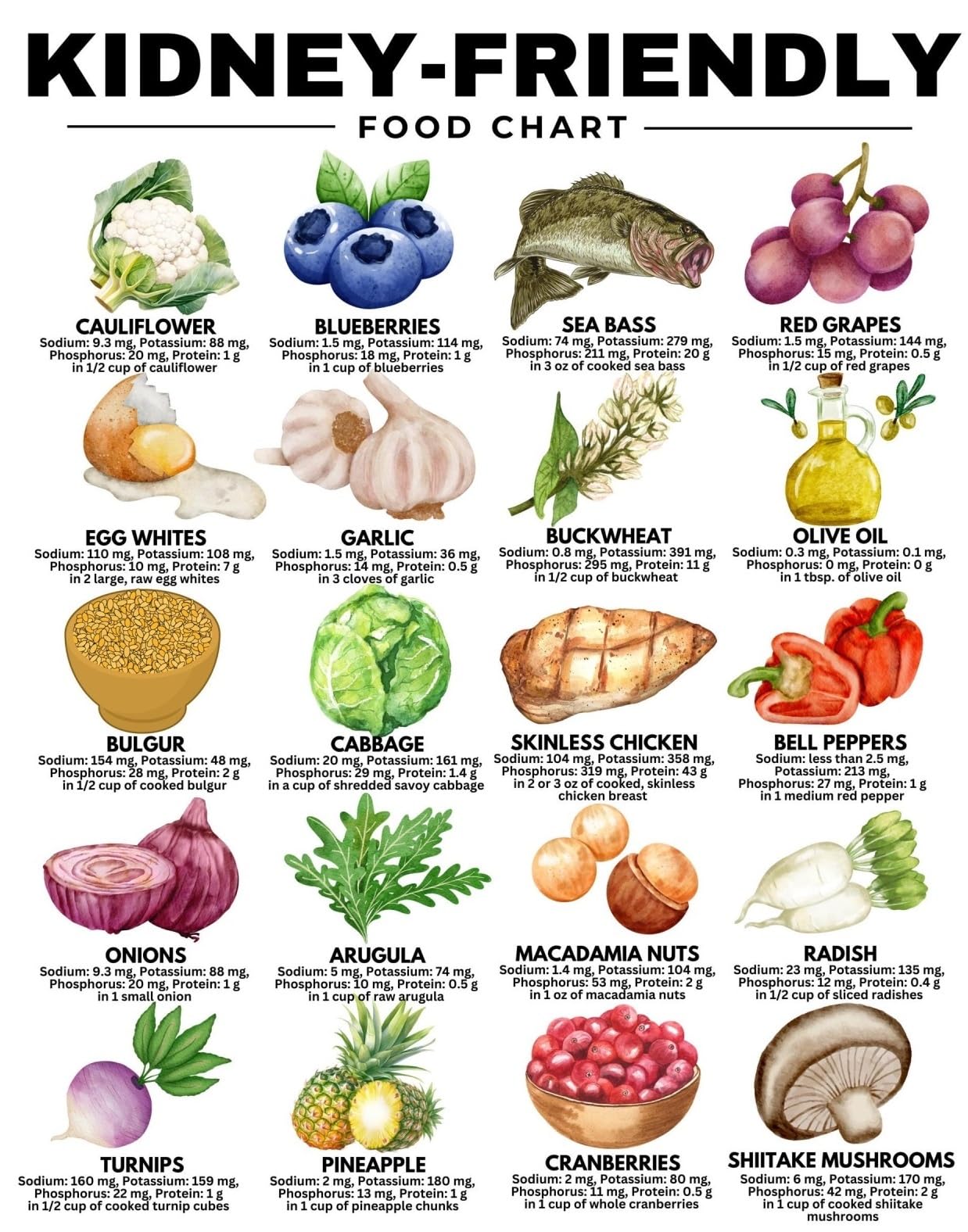 PKNVKZIDK Renal Diet Food List Poster Kidney Friendly Grocery Guide for Chronic Kidney Disease CKD Low Sodium Nutrition Educational Wall-Art Patient Education Decor(Unframed,16x24inch(40x60cm))