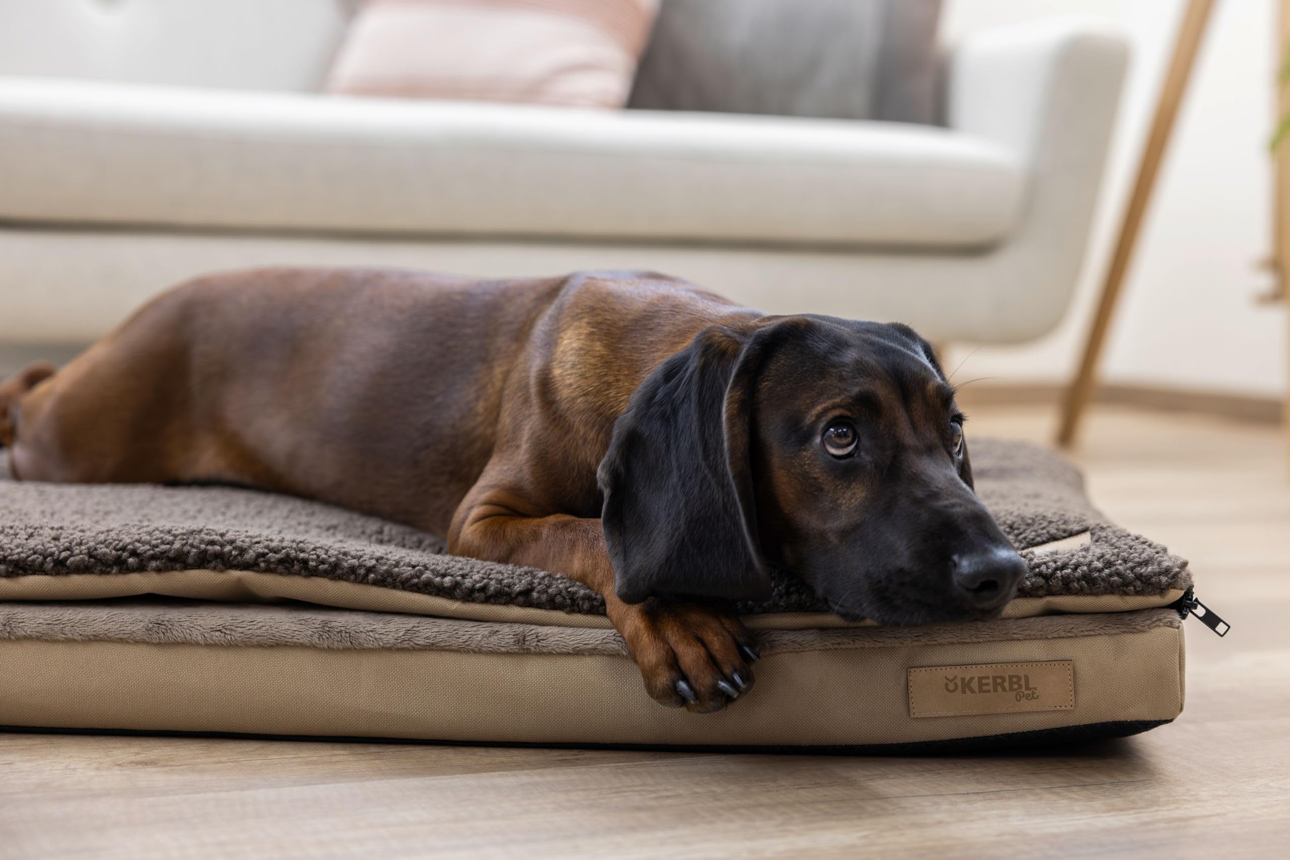 Kerbl Pet Colchón Multifuncional para Perros, Ortopédico, Almohadilla para incontinencia integrada, Espuma con Memoria, Funda Lavable, Beige|Marrón, 100x65x7 cm
