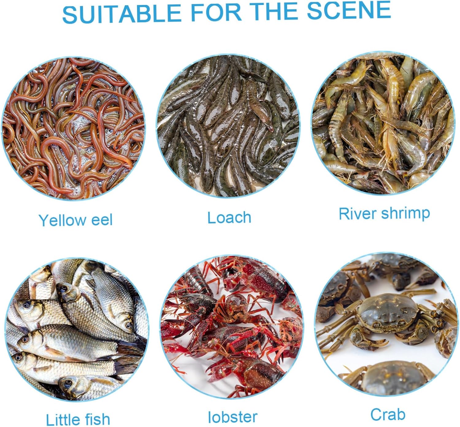 Happyyami Outdoor Fishing Bait Trap EEL Catching Basket High-Grade Shrimp Trap Net