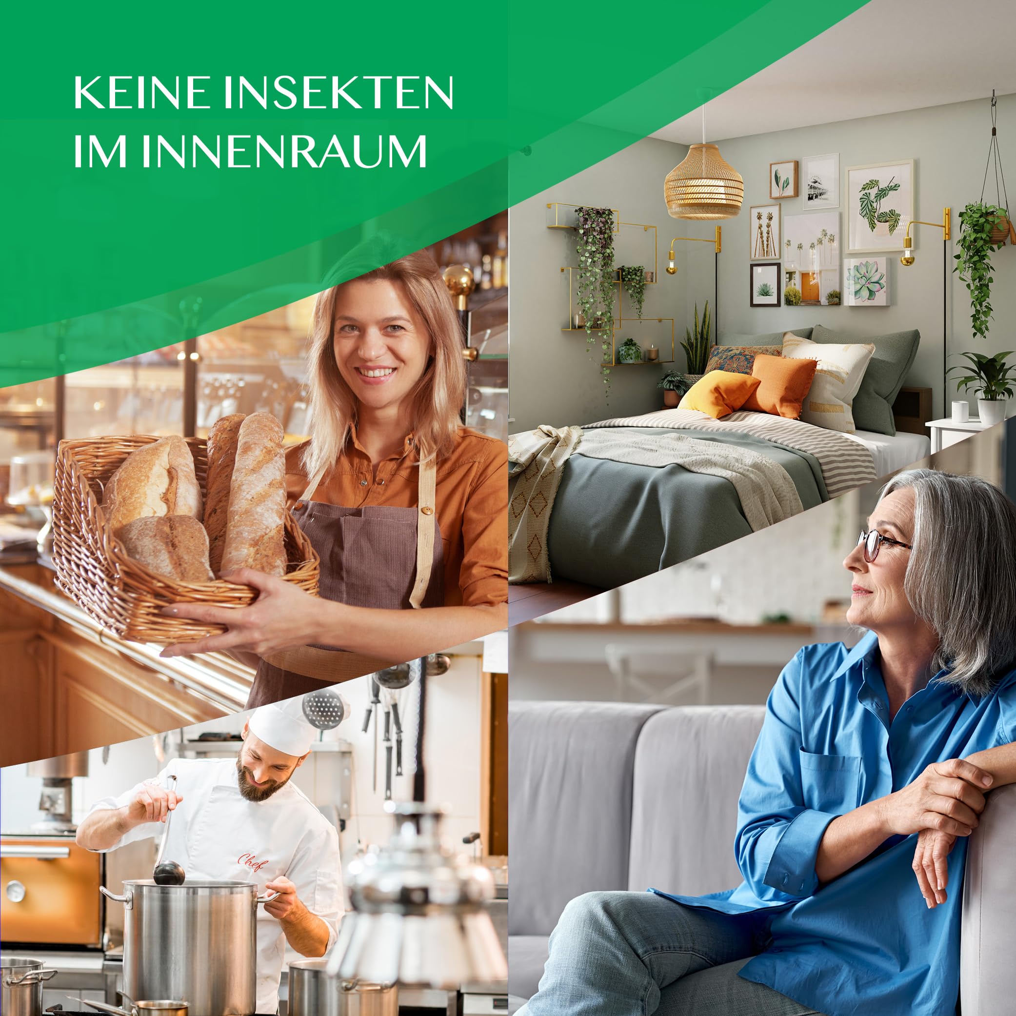 GO! Insect Control VORRAT: 6x Spray-Dosen zu 250ml - (6er-Pack) Insektenspray zur Fliegenabwehr gegen Schnacken, Stech-Mücken, Wespen, Fliegen u.a.(Gänseblümchen-Extrakt)…