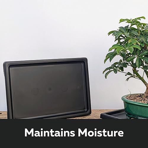 Miniatura 3 de Tinyroots - Bandeja de humedad para bonsái, bandeja de goteo de 11 pulgadas, mantiene la humedad de las plantas y ayuda a proteger muebles, bandeja