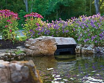 Amazon.com : Atlantic Water Gardens PS4600 Pond Skimmer, 6