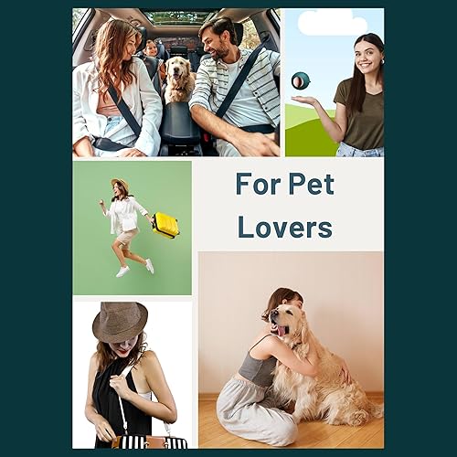 Miniatura 6 de Paquete de 2 (una bola completa de pelusa con cubierta y una bola de gel adicional), pequeña bola reutilizable y lavable para pelo de mascotas,