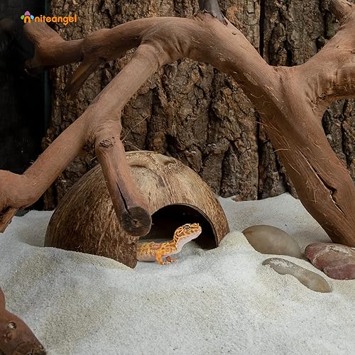Miniatura 2 de Niteangel Paquete de 2 escondites de reptil de coco natural lagarto araña y acuario