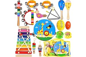 20-Piece Kids Toy Instruments Set: Musical Adventures Await