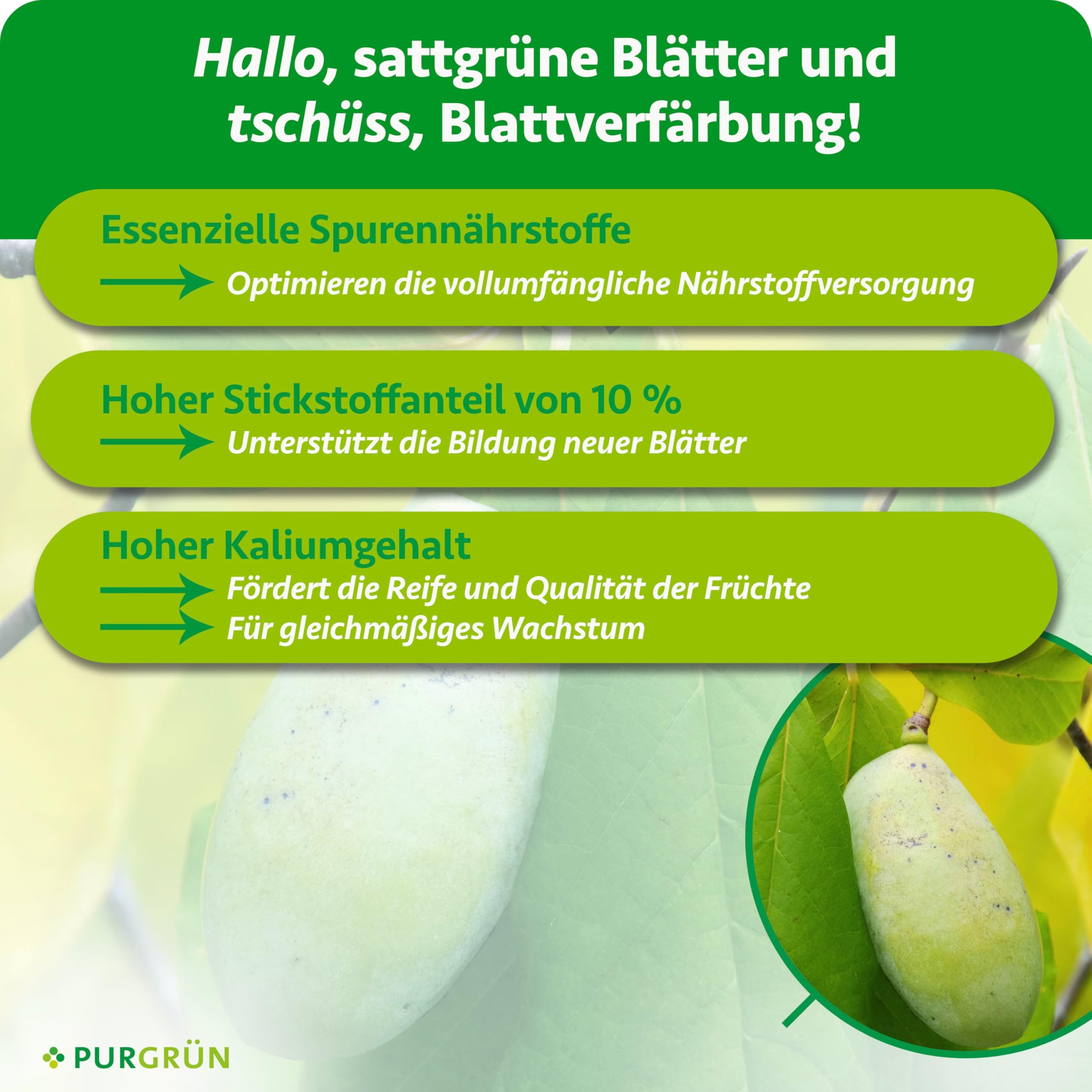Indianerbanane-Dünger 1 Liter – Schnell wirksame mineralische Rezeptur – Premium-Flüssigdünger mit Spurennährstoffen – NPK 10+4+6 – Stärkt die Widerstandskraft – Für kräftiges Wachstum