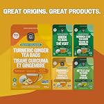 FGO Organic Turmeric Thé au gingembre, 100 Compter, Eco-Conscients Sacs à thé, Sac refermable, Emballage May Vary (Pack of 1)