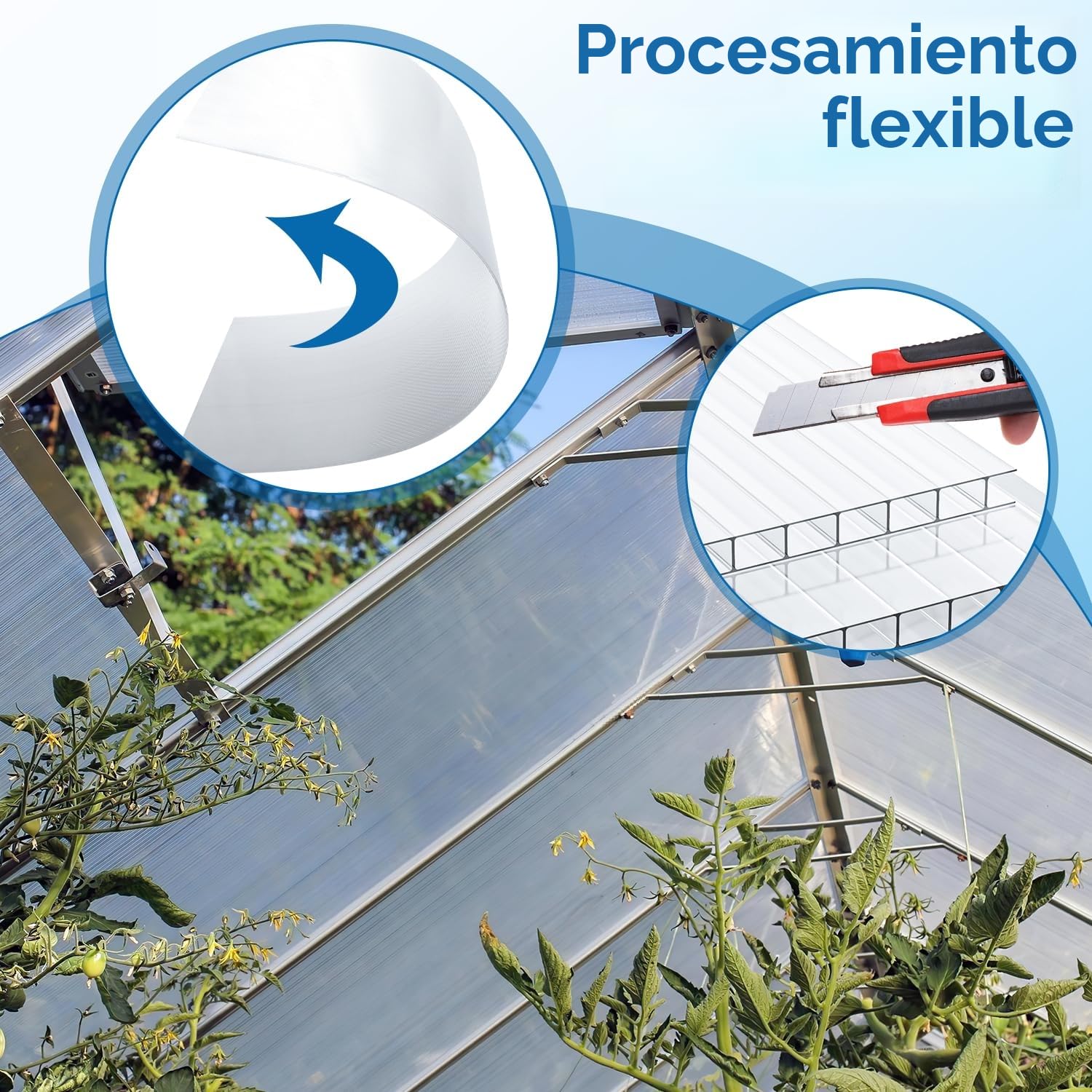 Placas de policarbonato para cámaras huecas, 14 unidades, 4 mm, planchas huecas, 60,5 x 121 cm, placas de invernadero de 10,25 m², láminas dobles transparentes para invernadero, jardín