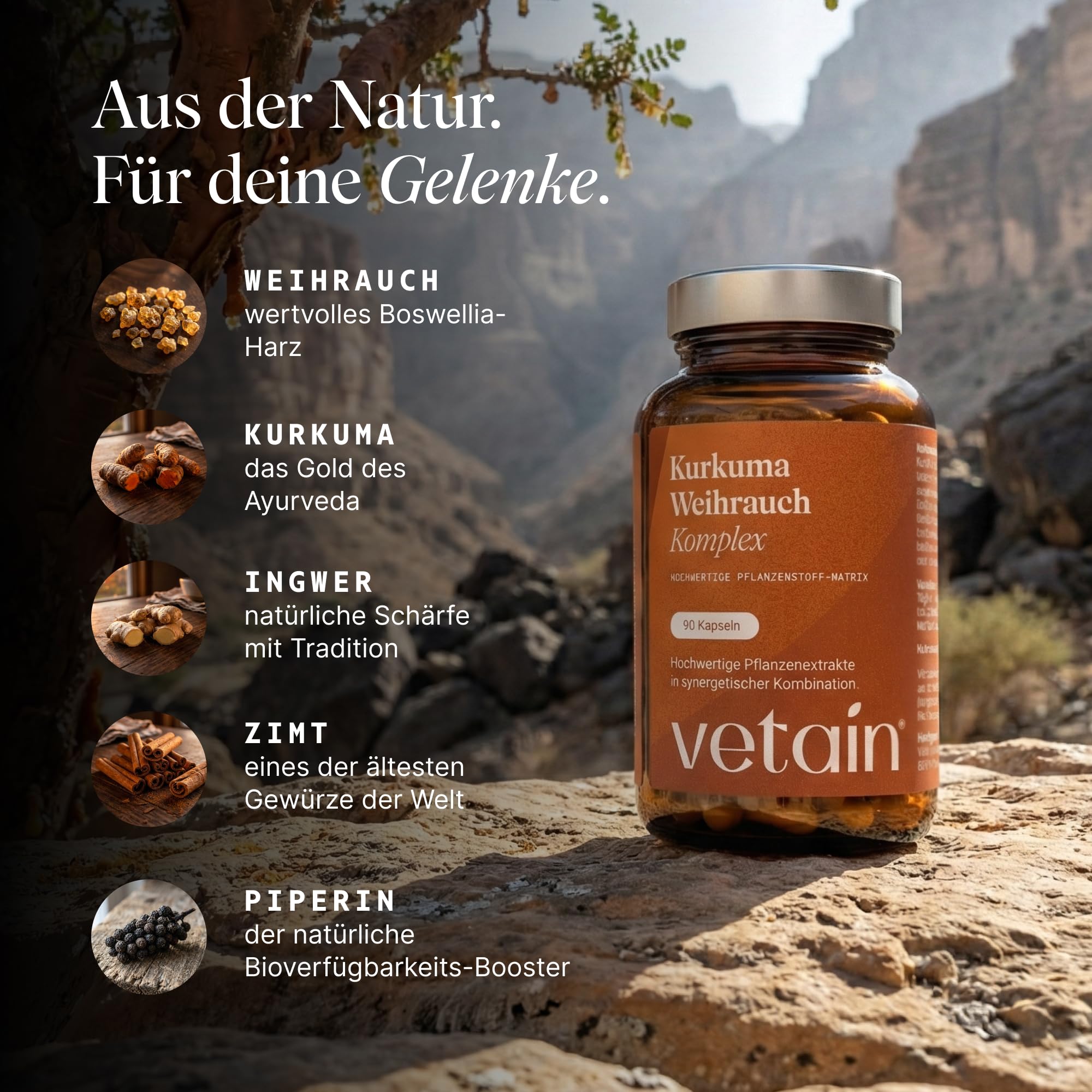 VETAIN Kurkuma Weihrauch Ingwer Komplex - 90 vegane Kapseln - 127mg Boswelliasäure & 105mg Curcumin - Mit Zimt & Piperin - hochdosiert & hoch bioverfügbar - produziert in Deutschland