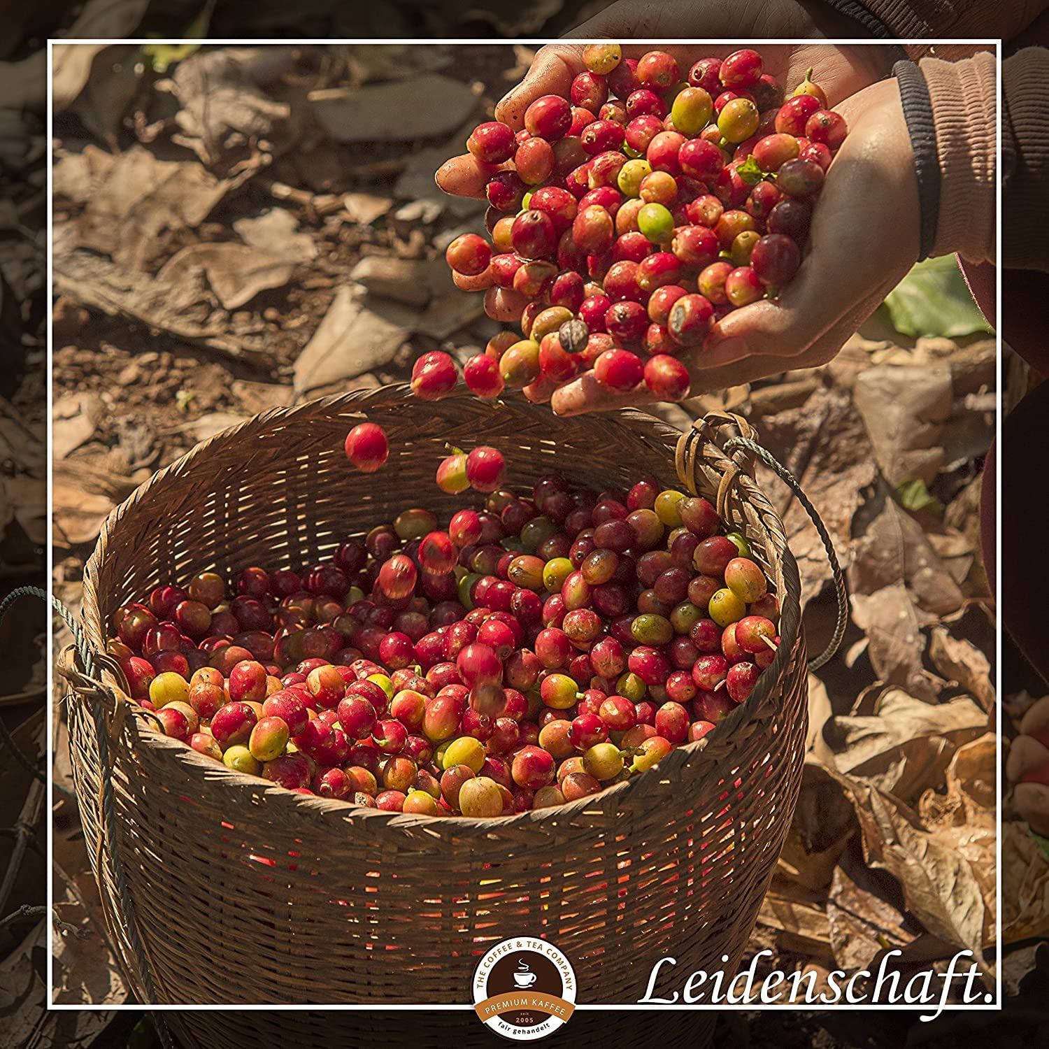 C&T Bio Espresso Crema entkoffeiniert | 3 x 1000g ganze Bohnen | 100% Arabica Kaffee | Cafe Gastro-Sparpack im Kraftpapierbeutel