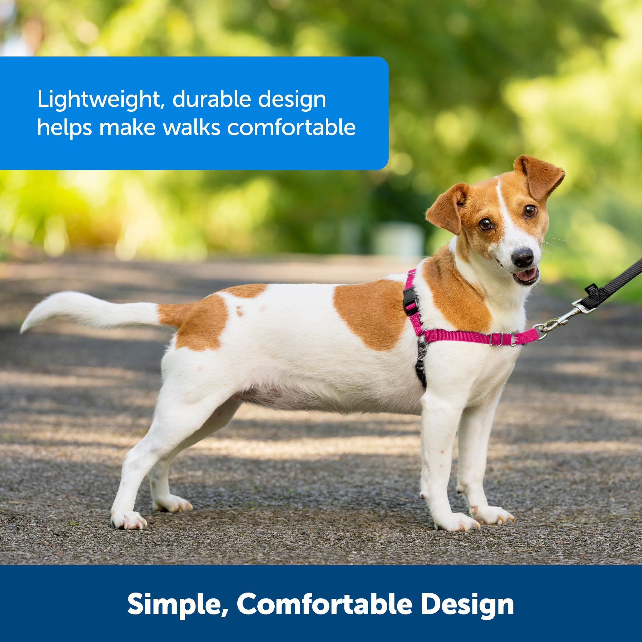 PetSafe Harnais Easy Walk avec Boucle Anti-Traction Et Laisse De 1,8 M, Promenade Confortable pour Vous Et Lui - 4 Points De RÃglage â€“ RÃsistant, Facile Ã€ Mettre Et Enlever â€“ Noir, Taille L