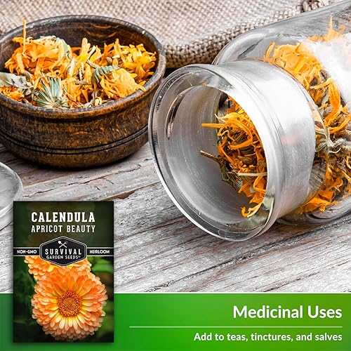 Miniatura 3 de Semilla de belleza de albaricoque de caléndula para plantar, 1 paquete con instrucciones para plantar y cultivar caléndula officinalis en el jardín