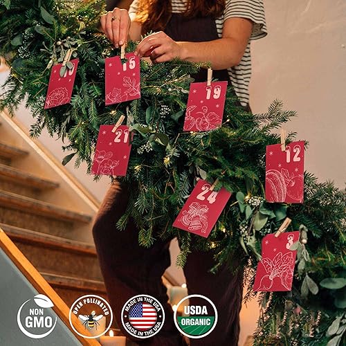 Miniatura 3 de Seeds - Calendario de Adviento de Navidad 2025 para mujeres adultas, decoración colgante, calendario de cuenta regresiva de Navidad para jardín,