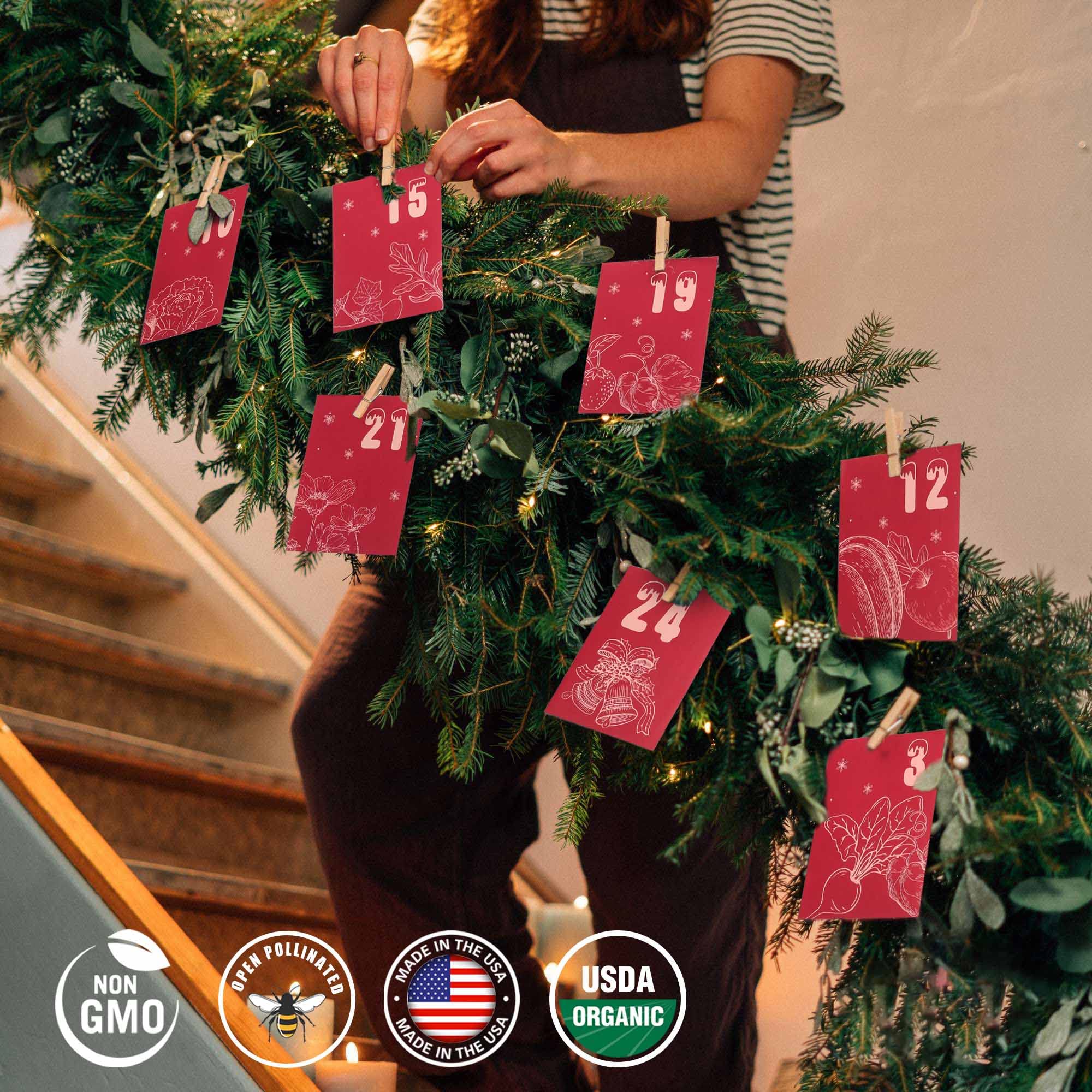 Amazon.com: Seeds Christmas Advent Calendar 2023 for Women Adult, Hanging  Decor Xmas Countdown Calendar Gift for Garden Alike,Unique Christmas  Thanksgiving Birthday Anniversary Countdown Gift for Dad Mom Kids Family :  Home &