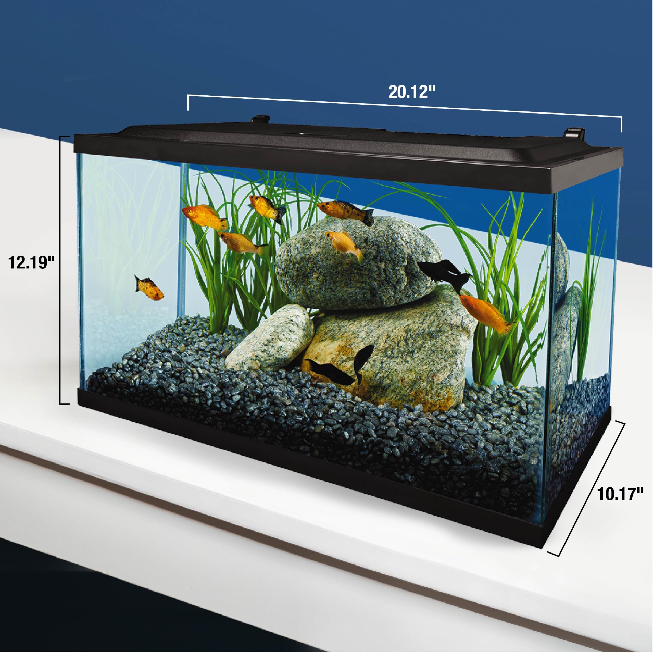 Tetra Acuario LED Completo de 10 galones, Incluye iluminación LED, filtración y Accesorios