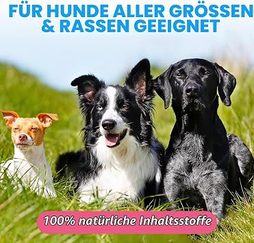 Support for Urinary Tract Infections in Dogs - Natural Dog UTI Treatment Drops Cranberry Herbal Supplement for Health of Kidney and Bladder Function 60 ml