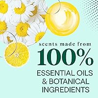 Vista 4 de Seventh Generation - Líquido lavavajillas de manzanilla líquida + iscap de limón, 19 onzas líquidas (6unidades)