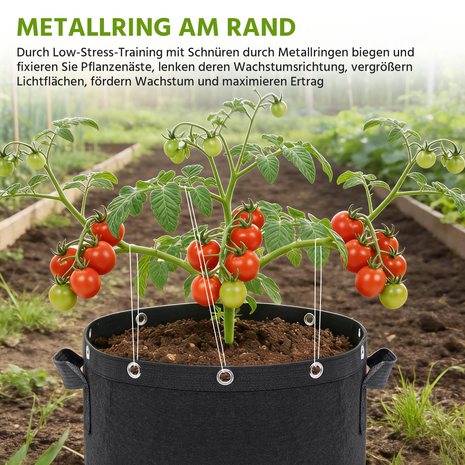 Newthinking Pflanzsack 11L, 6 Stück mit Griffen – Robuster Stofftopf für Tomaten, Kartoffeln, Erdbeeren, Blumen und Garten