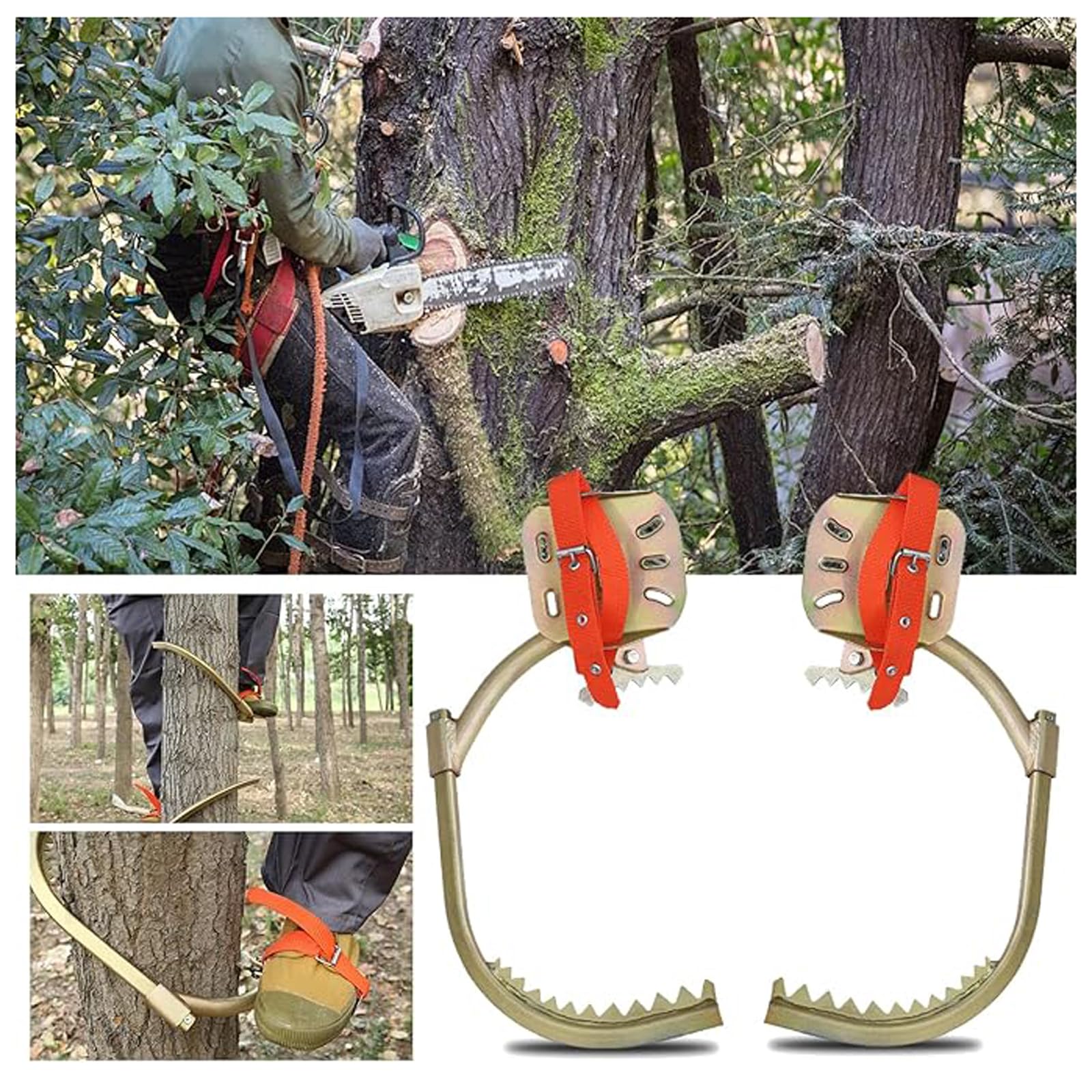Crampons d'escalade pour Arbres,Griffe elagage Pointes d'escalade pour Arboriste,Outil d'escalade d'arbres,Harnais de sécurité antichute,pour Sports de Plein Air Jungle Cueillette