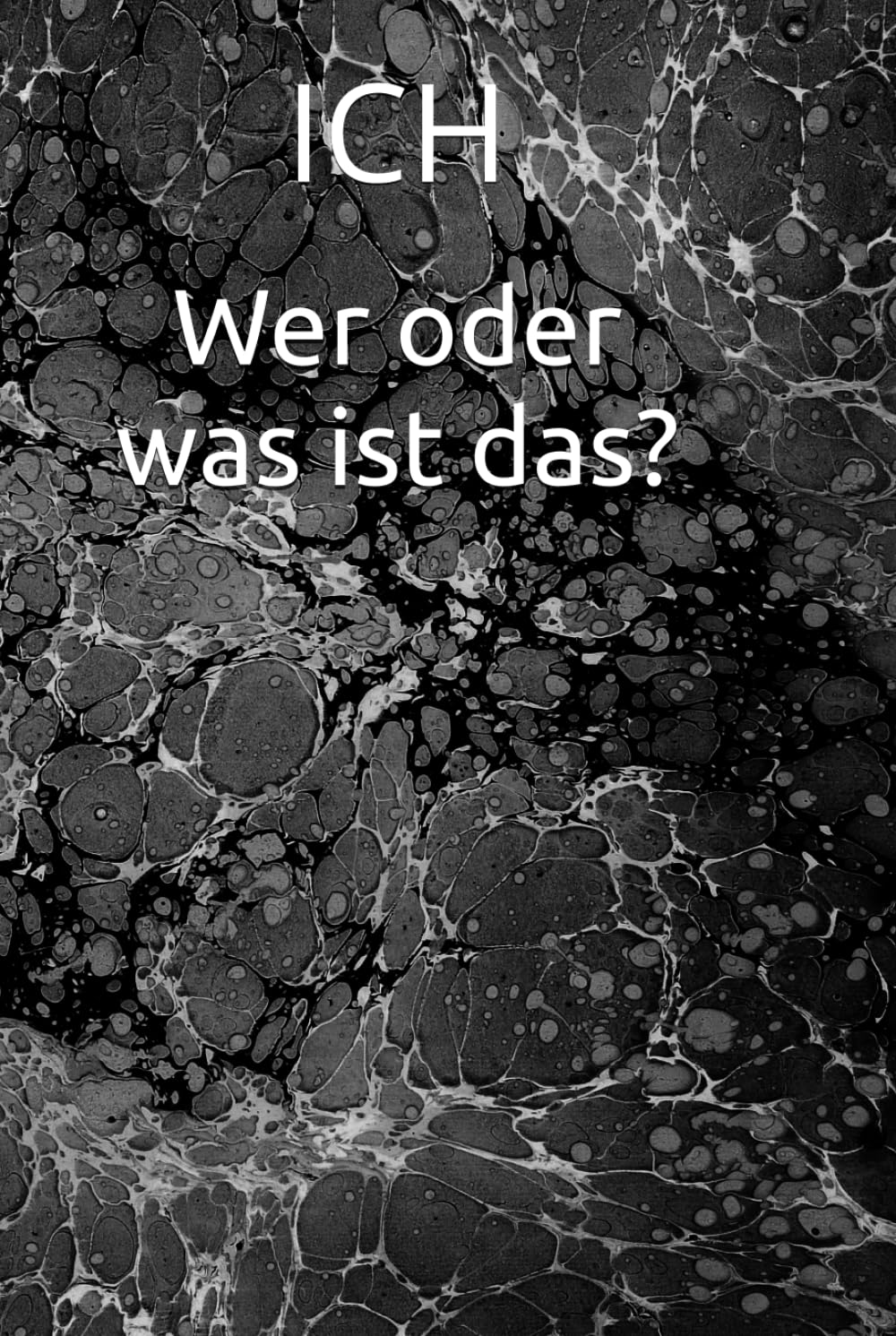 ICH: Wer oder was ist das?
