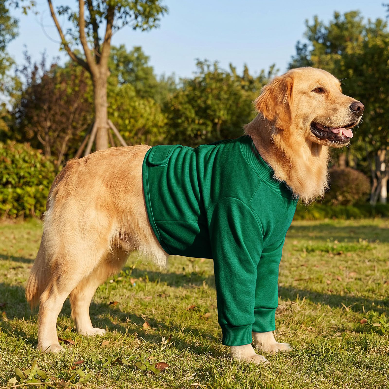 CITÉTOILE Manchon de Récupération Chirurgicale Chien, Protection Contre Les blessures à la Jambe Avant pour Chien de Taille Moyenne et Grande, Vert, S