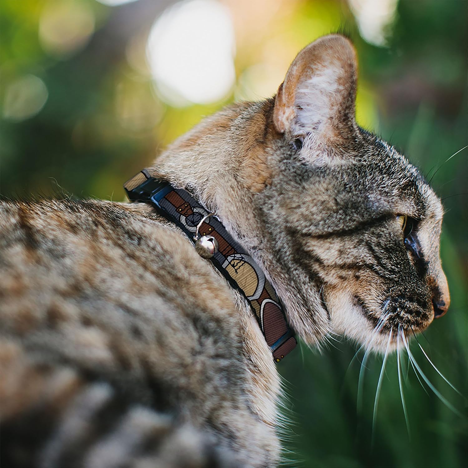 Star Wars Cat Collar, Breakaway Collar with Bell, Star Wars The Clone Wars Ahsoka Tano Bounding Elements, 8.5 to 12 Inches 0.5 Inch Wide | Star Wars The Clone Wars Ahsoka Tano Bounding Elements Durable Adjustable Bell ID Tag Ring