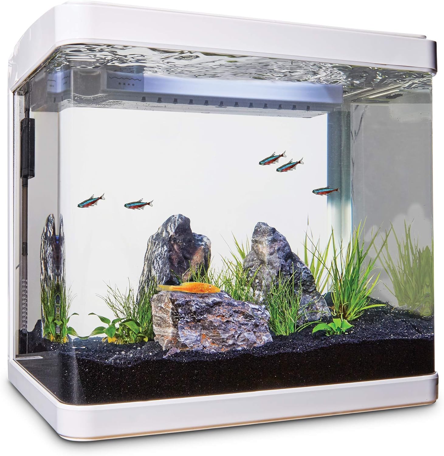 imagitarium aquarium