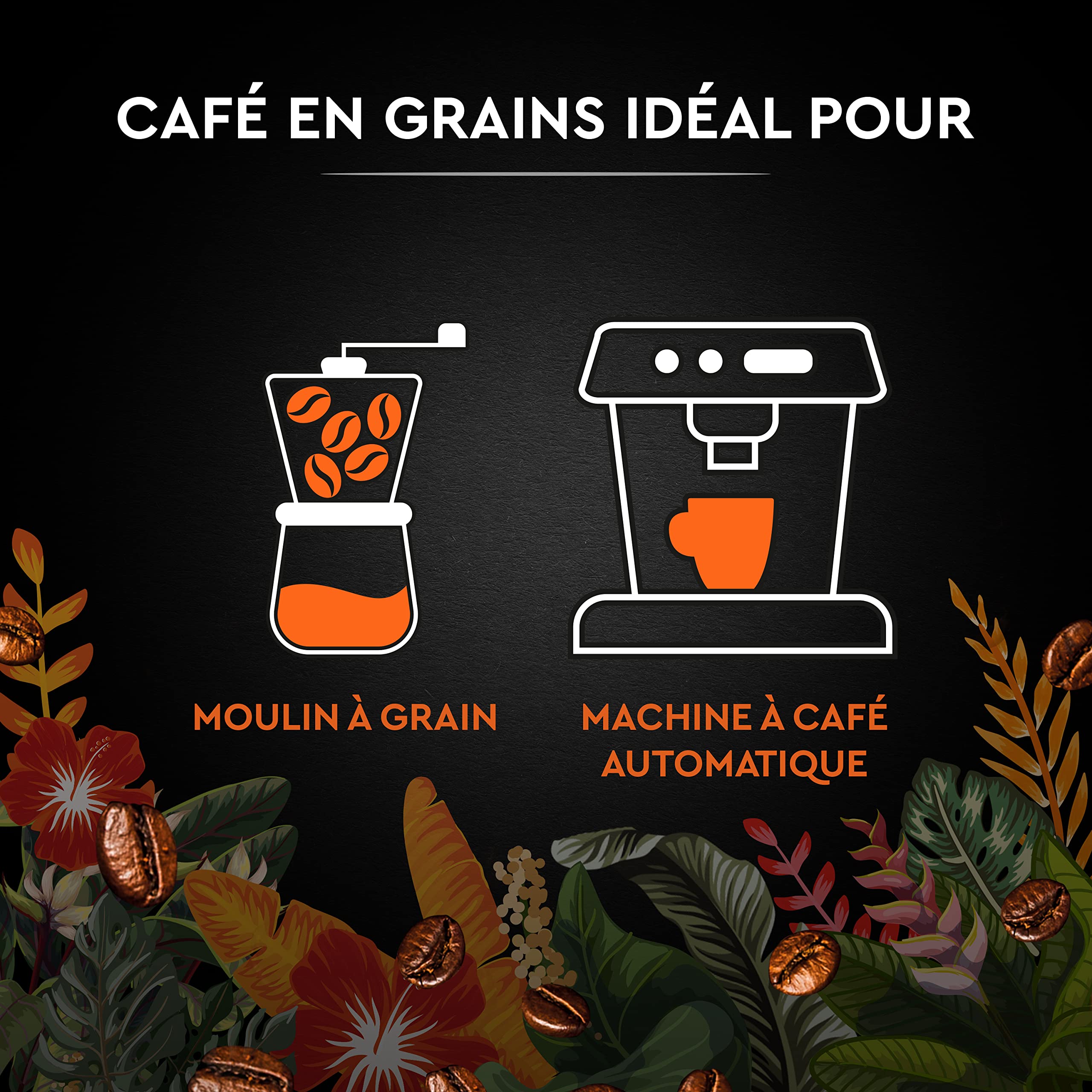 CARTE NOIRE - Café Grain Carte Noire Secrets de Nature - Catuai Romex - Certifié Rainforest Alliance - Paquet de 1 kg