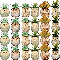 Nitial 24 Pack Cute Owl Ceramic Succulent Pots with Drainage - Mini Small Planters for Desk, Office, Home, Gifts, 2 Sizes