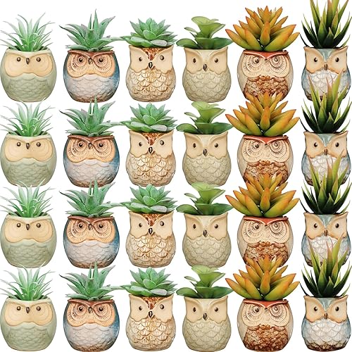 Nitial Paquete de 24 macetas pequeñas de cerámica con orificio de drenaje, bonitas macetas para plantas, plantas no incluidas, ideas de regalo para