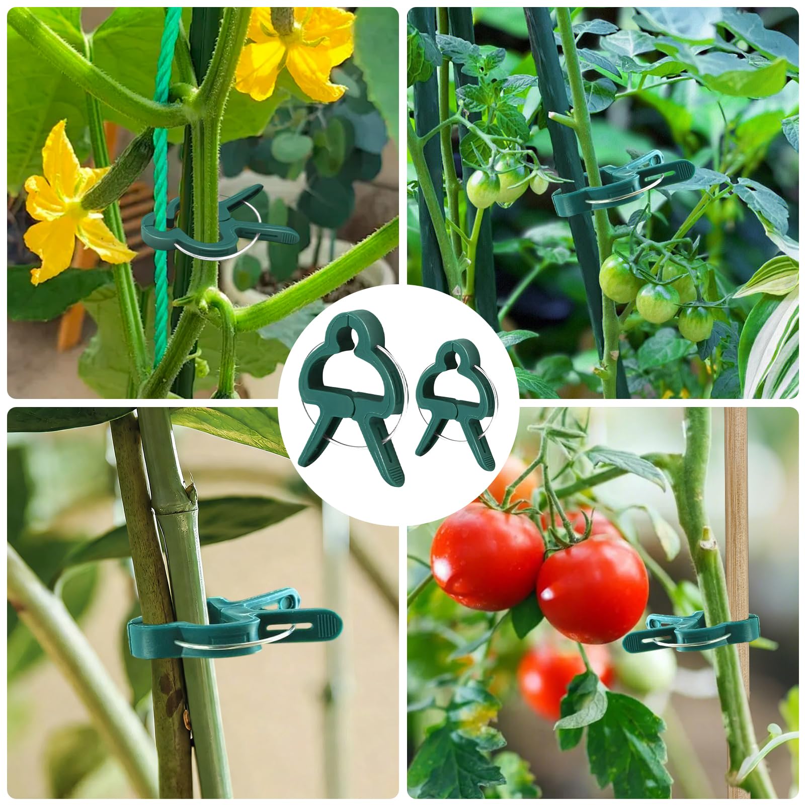 Attache Plante, Pince Attache Tomate, Clip de Support pour Plante, Clips Plantes Grimpantes, Attaches Tomates Clips Réutilisable pour Fixer et Soutenir Plantes, Légumes, Fleurs et Fruits (60PCS)