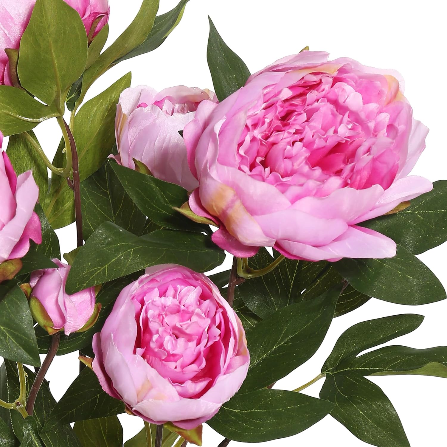 Vickerman 23'' Everyday Artificial Cerise Peony Bush - Faux Indoor Floral Arrangement - Lifelike Faux Peony Bush - for Home Or Office Decor - Maintance Free