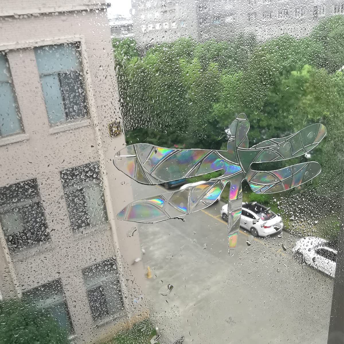 20Pcs Dragonfly Window Clings - Anti Collision Bird Deterrent Stickers For Glass To Prevent Bird Strikes