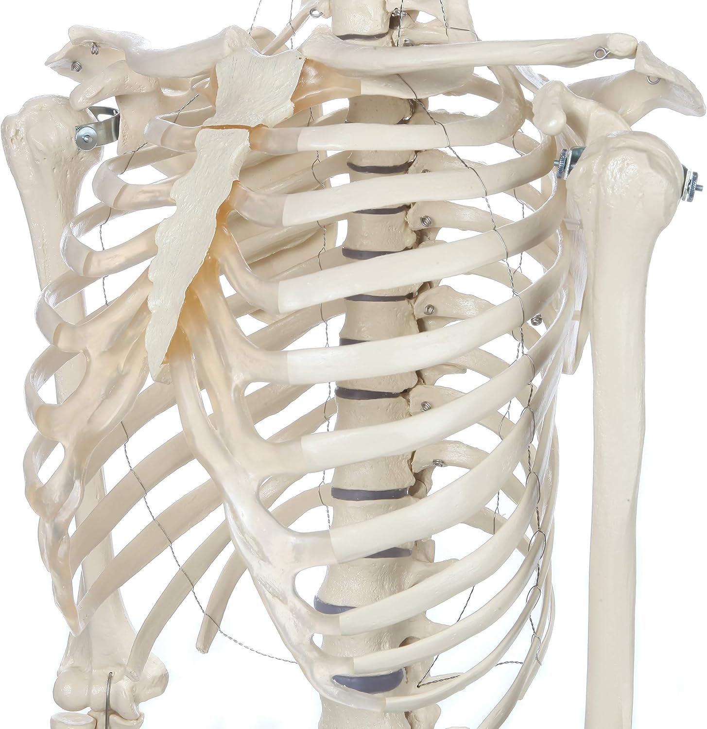 Issiq fotosini Brandi Love toshakda porno Ukraina porno video korsatish