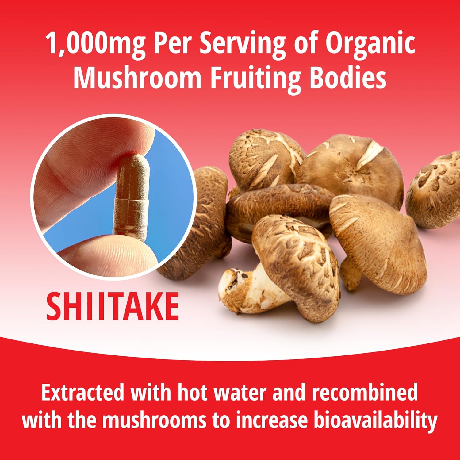 ENCAPSULATE Shiitake Capsules 1000mg – Premium Organic Fruiting Body 1:1 Extract – Adaptogen Mushroom Supplement for Heart Health, Vitality & Immune Support – Lab Tested, Vegan & Non-GMO – 60 Count - Image 6