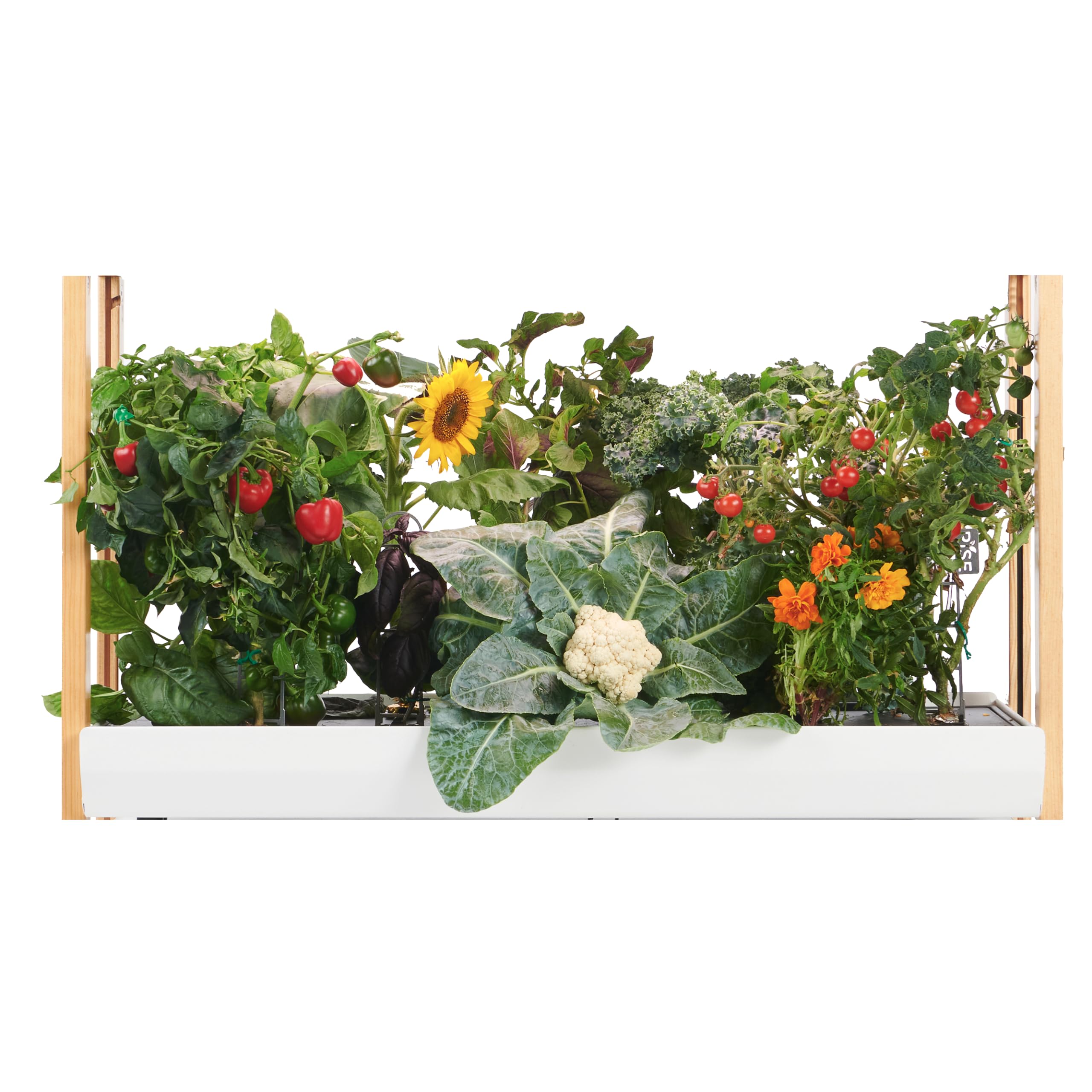 Rise GardensThe Rise Extension, Compatible with The Rise Garden Hydroponic Indoor Garden Kit, Cloud Color