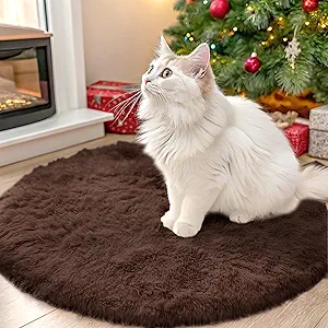 OLANLY Coffee Round Rugs for Bedroom - Machine Washable, 2 ft Circle Area Rugs for Living Room, Soft and Fluffy Shaggy Carpet for Teen Girls and Boys, Nursery Rooms, Dorms, Home Decor Aesthetic