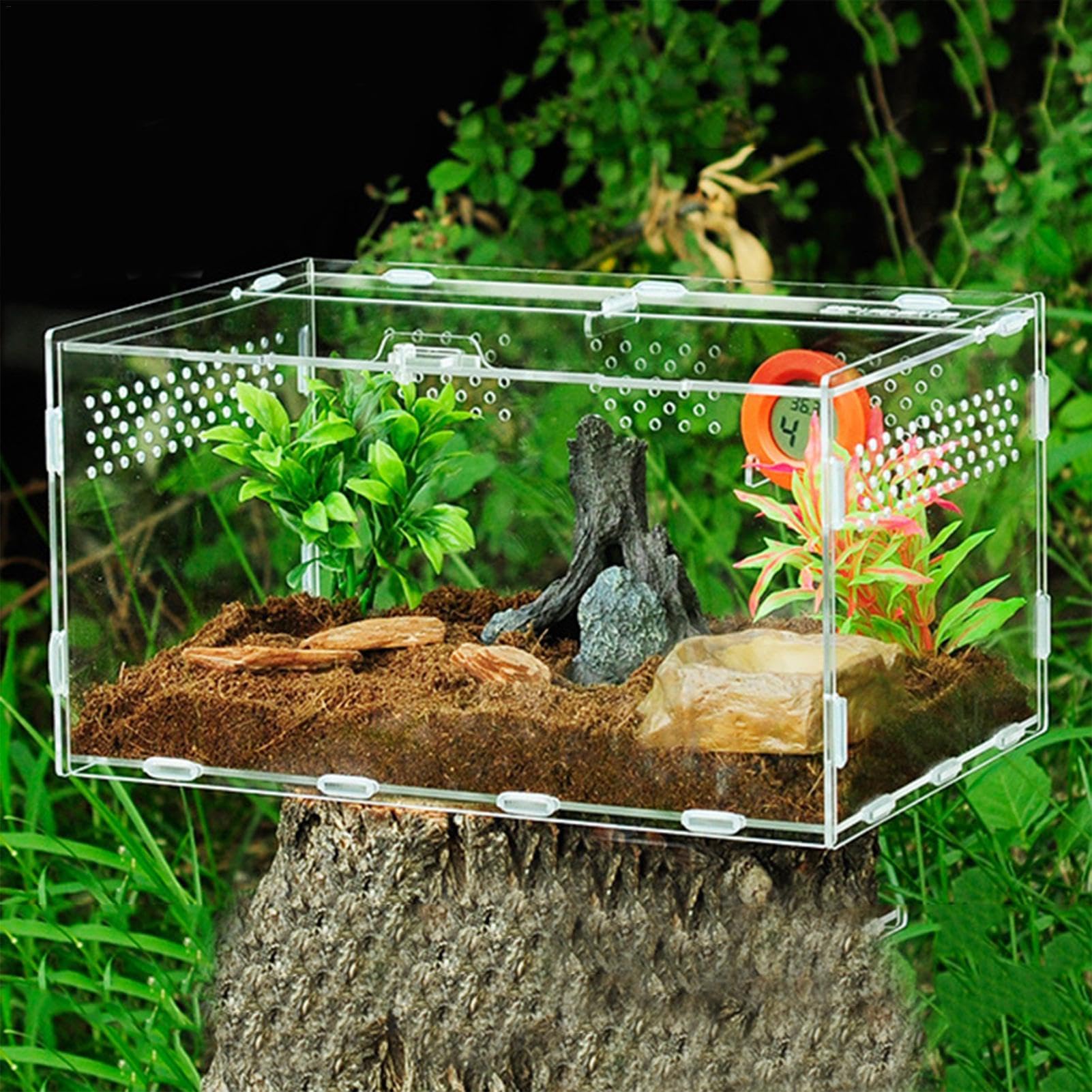 Reptilien Futterbox Transparent - Terrarium Zubehör Für Frösche & Kleintiere