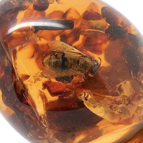 Natural Amber resin with Bees Inclusions, Egg Shape Decor piece